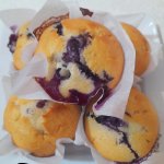 Blueberry Muffins