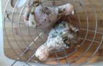 Marinated chicken drumsticks