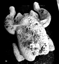 Roasted Chicken