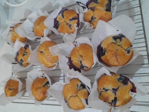 Blueberry muffins