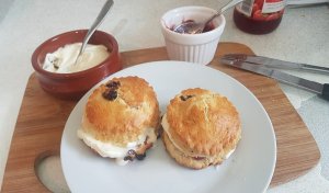 Traditional scones with cream