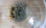 marinade mix