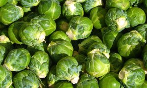 Brussel sprouts